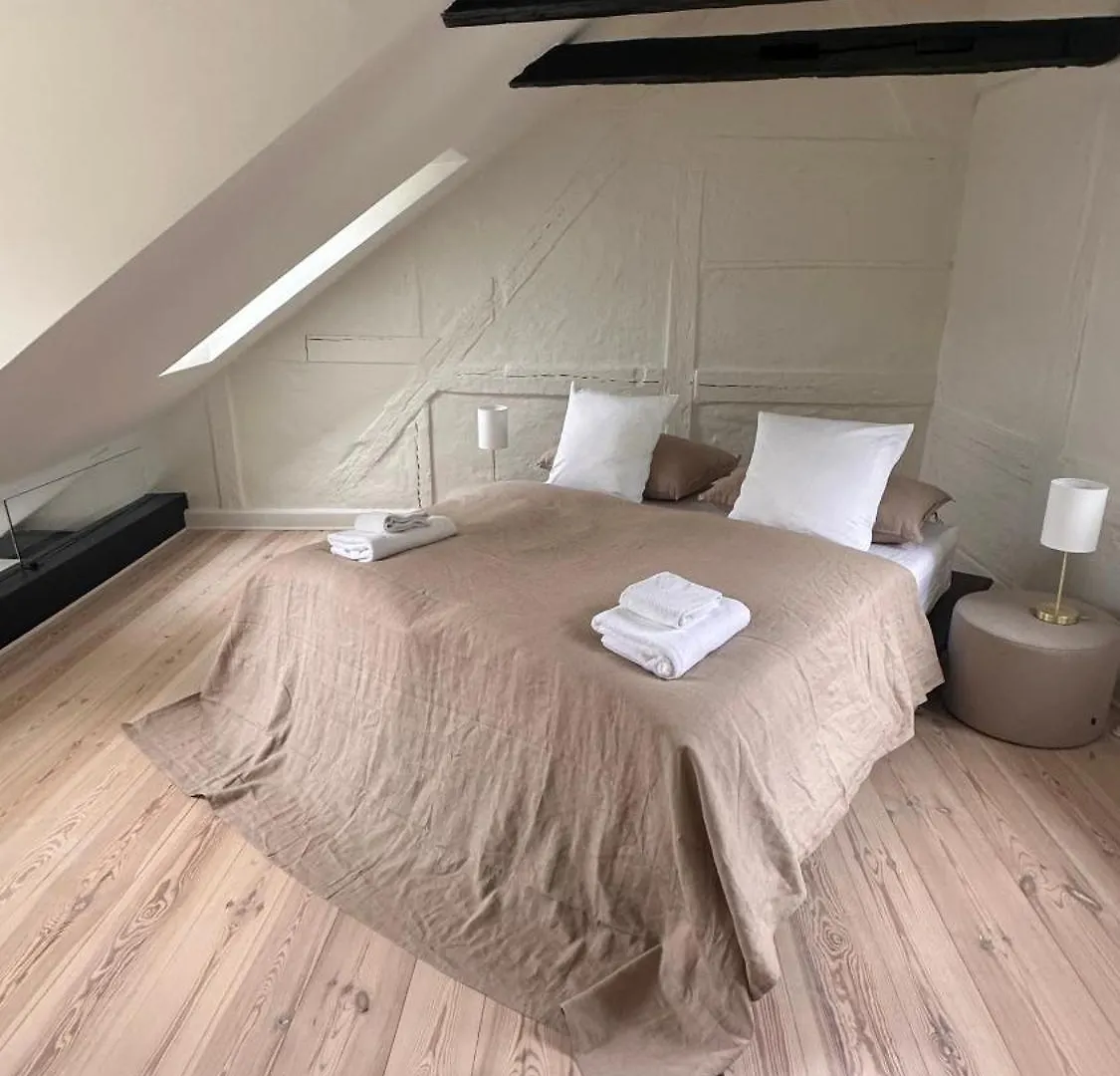 Luksusbolig Ved Grabrodretorv Apartment Copenhagen Denmark