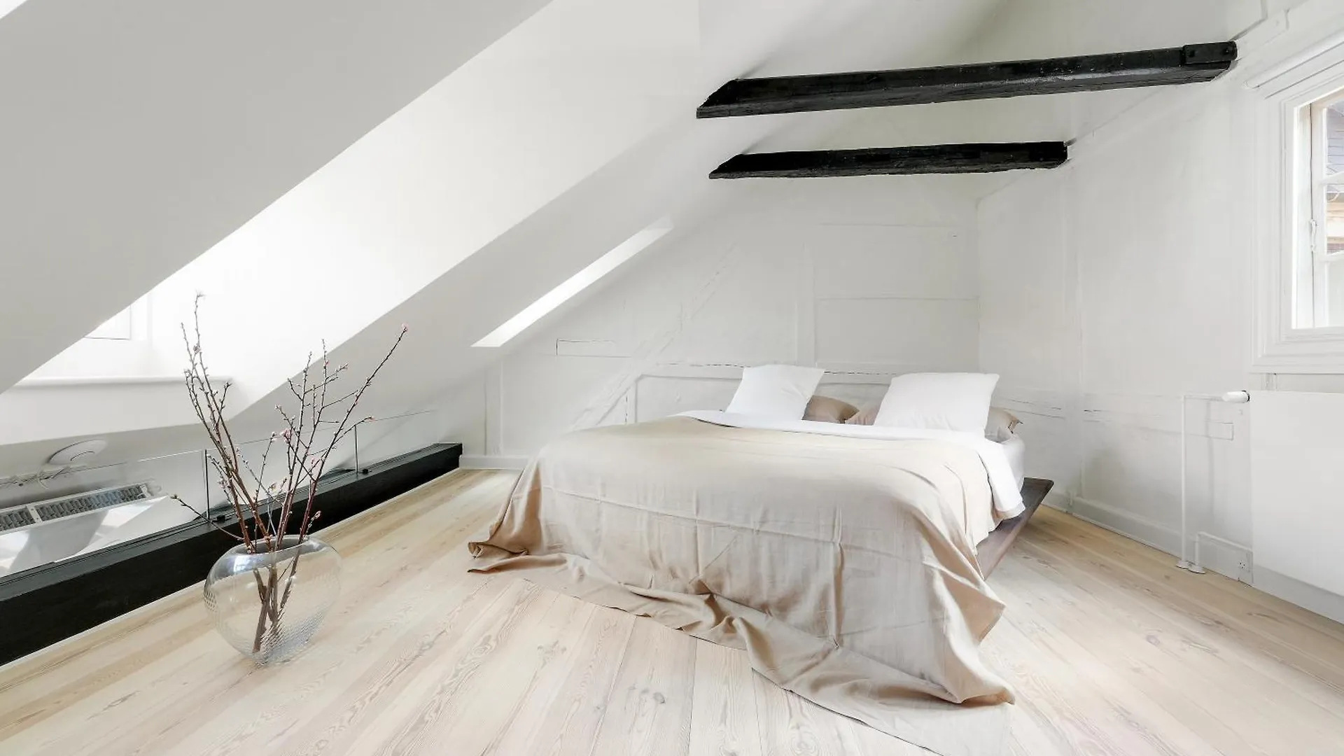 Luksusbolig Ved Grabrodretorv Apartment Copenhagen Denmark